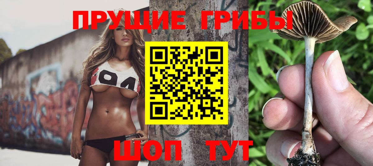 Соль-Илецк  купить наркоту  Вход с VPN  Псилоцибиновые грибы Psilocybe  Псилоцибиновые грибы Magic Shrooms 